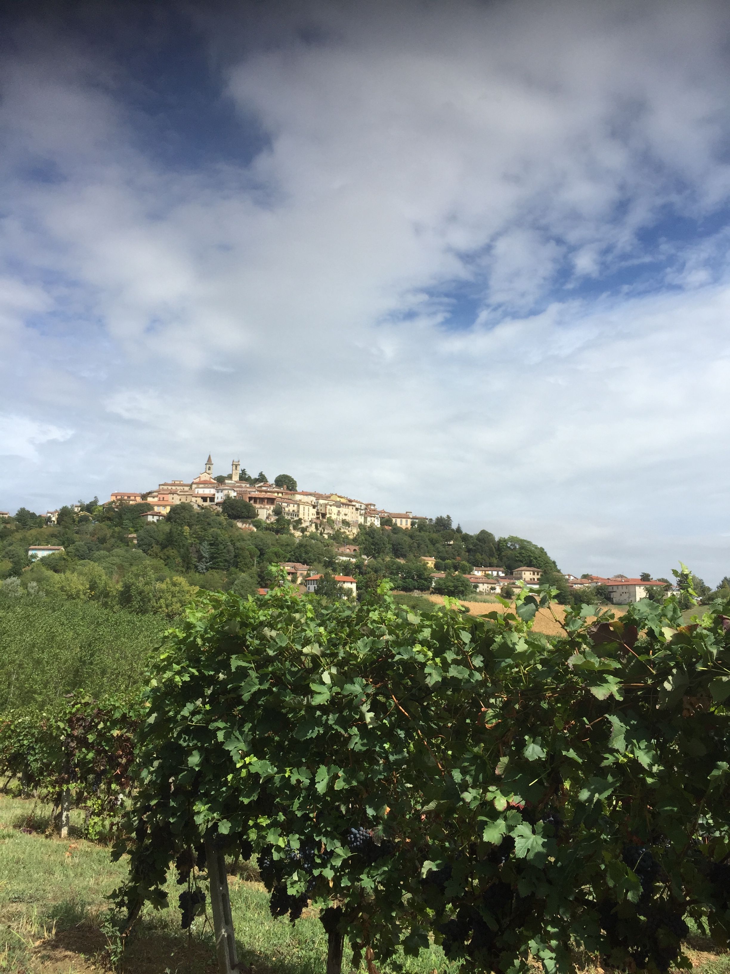 Monsterrato-Strade Bianche, ups and down in the Monferrato hills